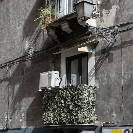 Appartement Terra Dell'Etna à Catane Extérieur photo